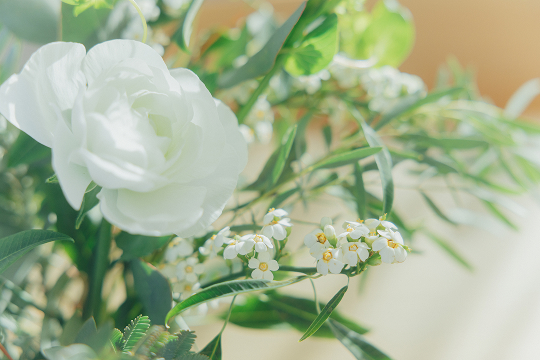 キナリノのユーザーが好む、花と光が気持ちいい空間