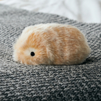 【バックナンバー】人とふれあうことで感情が育つ。新しいペット『Moflin』との生活