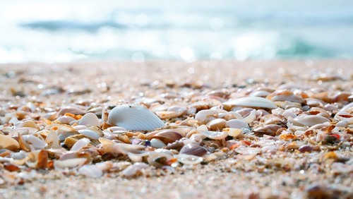 キレイな海に会いにいこ この夏 家族や友だちと訪れたい中部地方の海水浴場6選 キナリノ