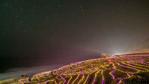 棚田に広がる幻想的なイルミネーション。白米千枚田の「あぜのきらめき