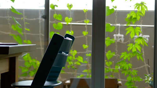 始めるなら今です 電気代も節約できる グリーンカーテン の方法とおすすめ植物 キナリノ