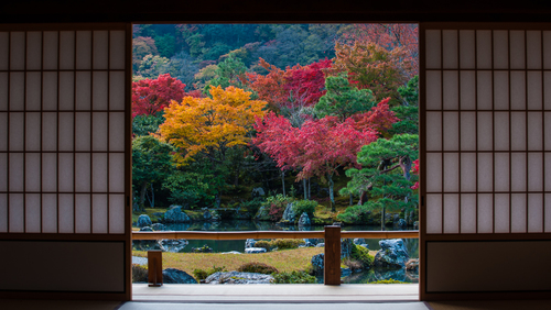 名古屋帯 京洛百景 嵐山 渡月橋 ススキ 紅葉 楓 金彩 NO-1417