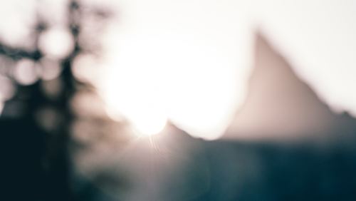 スマホやデジカメでも楽しめる♪ふんわり優しい《ボケフォト》の世界