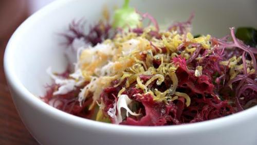 洋書・料理本】Irish Seaweed Kitchen（海藻料理レシピ集） Seaweed