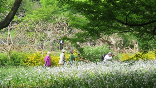 緑と水と、花々と。“わたしのリセット旅－皇居東御苑編