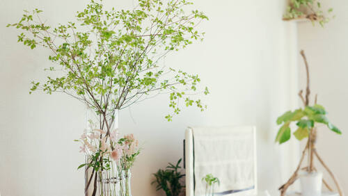 ナチュラルな北欧インテリアを目指して 素敵な グリーン の取り入れ方 キナリノ
