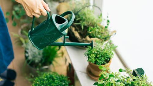 集めたくなる ヨーロッパブランドのおしゃれな ガーデニンググッズ キナリノ 集めたくなる ヨーロッパブランドのおしゃれな ガーデニンググッズ キナリノ