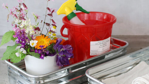 SALE うさぎさんとトマト男の子＆女の子セット ラビット 庭