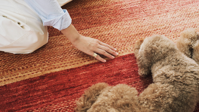 見て、触れて、違いを体感。
日常使いの上質なラグのカバー画像