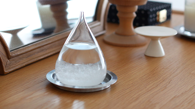 名物店主のお買い物日記 no.230 - 自然の神秘を身近に。雨の日も楽しくなるオブジェの話 ―BOWKNOT河野恵美さん