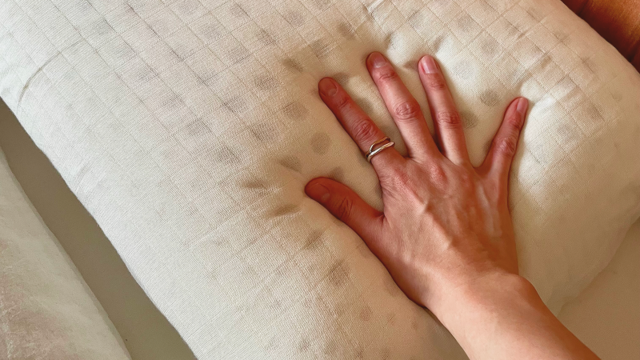 むっちり、もっちり！夢のカステラ枕 | キナリノ