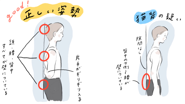 あなたは猫背、反り腰、ストレートネック、巻き肩?簡単にできる姿勢診のカバー画像