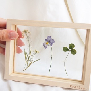 作ってみたい！自然をそこに閉じ込めて。夢のような【押し花アート】の世界