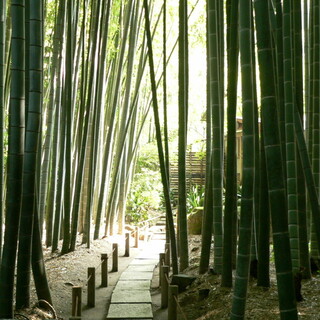 【金沢街道散策】歴史ある街道沿いで一味違う鎌倉観光を◎