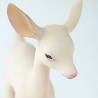 木彫作家・土屋仁応(つちや よしまさ)さんの麗しい彫像世界