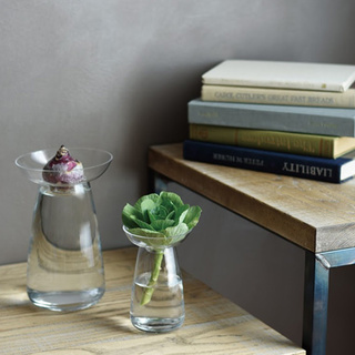 アボカドやハーブを部屋で育てる!?簡単かわいい【水栽培】にトライしよう！