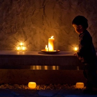 キャンドルやコスメも＊上質なミツロウアイテムを扱うワイルドツリー