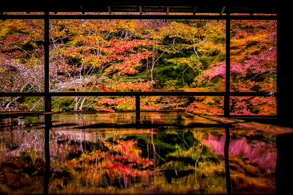 まだ見ぬ京都に会いに行こう 穴場スポット10選 キナリノ