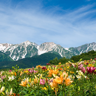 きっとまた行きたくなる。自然溢れる夏こそ訪れたい、長野県白馬村をご案内♪
