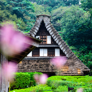 まるでタイムスリップしたみたい！「日本民家園」で感じる昔の日本