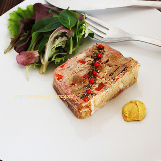 ハム、ソーセージ、レバーパテ、テリーヌ。シャルキュトリーレシピ集。