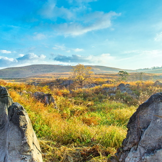 感動の光景にきっと出会える。＜中国地方＞の絶景スポットに出かけよう。