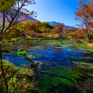 手つかずの自然が残る青森県で、水と緑に包まれる感動体験を。
