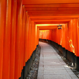 江戸時代の面影を色濃く残す古都への玄関口 ～京都市伏見エリアのおすすめスポット～