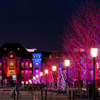 冬の思い出を作ろう 東京都内 寒い季節におすすめのお出かけスポット9選 キナリノ