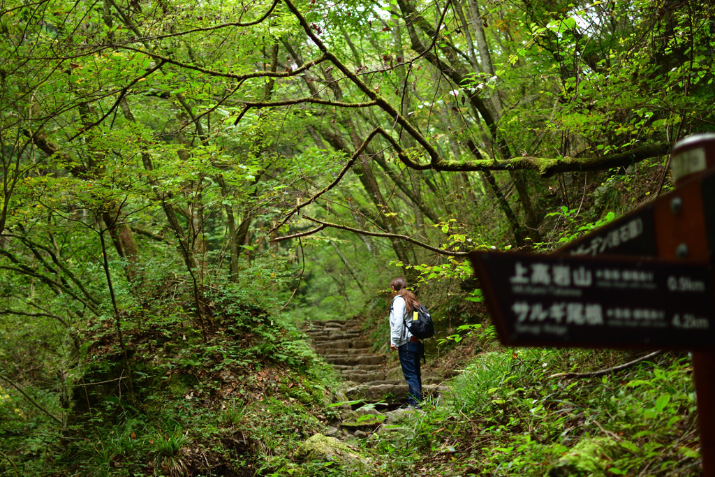 マイナスイオンを浴びて癒される 関東近郊の森林浴スポット7選 キナリノ