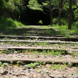 ノスタルジーに浸りながら、廃線跡でハイキングを ～兵庫県・武田尾廃線跡～