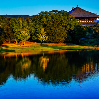 おなじみ「奈良の大仏さま」を見に行きませんか？～奈良県 東大寺のみどころ～