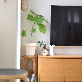 ちょっと良いことあるかも♪「風水」をインテリアに取り入れてみない？