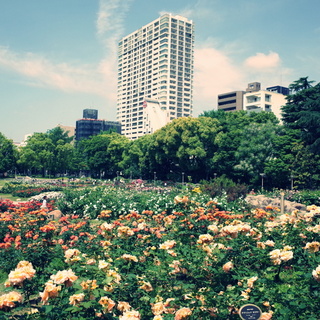 都心のオアシス、大阪・靱公園（うつぼ公園）で癒され美味しいランチを食べよう♪