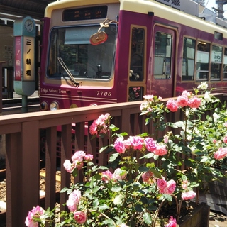 【東京・下町観光】1日楽しめる、都電荒川線沿線をぶらり旅♪