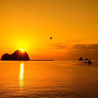 日本一の夕日を見に西伊豆へ。マジックアワーは忘れられない光景。