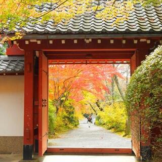 美しい京都の紅葉。混雑を避けたお寺巡りでゆっくりと楽しみたい！