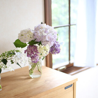 お部屋にどう飾る？どう楽しむ？『グリーン・お花』のある暮らし