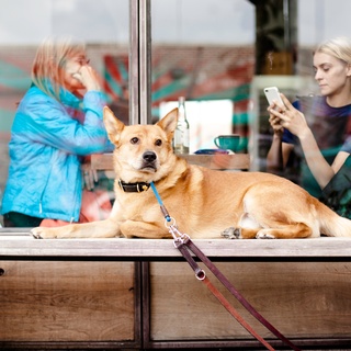 シンプルイズザベスト! パリジェンヌに学ぶ15のおしゃれ術。