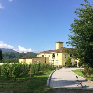 素敵な景色が広がる〈長野・サンクゼールの丘〉で美味しいランチとワインをどうぞ♪