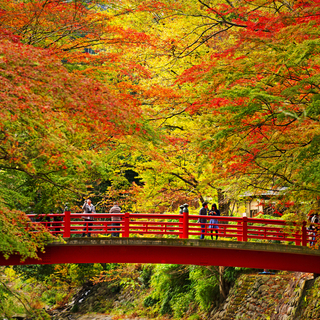 "伊豆の小京都"。散策も楽しい修善寺で温泉を満喫しよう♪