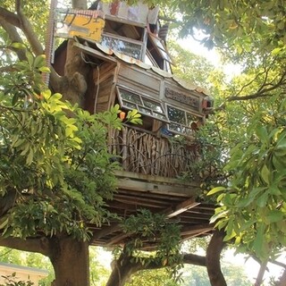 木の上の秘密基地!? ツリーカフェ「なんじゃもんじゃカフェ」に行ってみよう♪