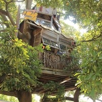 木の上の秘密基地 ツリーカフェ なんじゃもんじゃカフェ に行ってみよう キナリノ