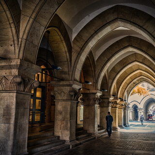 東京大学・本郷キャンパスで。ノスタルジックな雰囲気を楽しもう♫