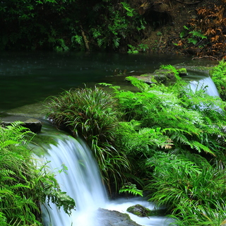 【九州編】水と緑の絶景を味わう。大人のドライブスポットをお教えします