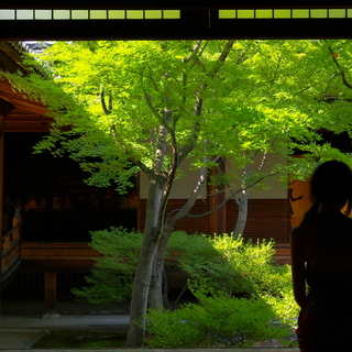 「建仁寺」で癒やされる。ふらりと出掛ける“わたしの京都旅”