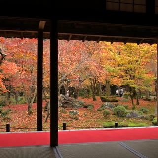 紅葉を見た後は美味しいごはん♪【京都】紅葉＆近隣ランチスポット