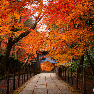 懐かしいあのCM「そうだ 京都、行こう」で紹介された季節の名所【秋冬編】