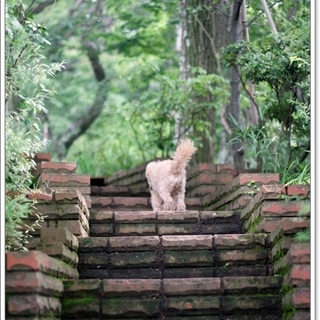 てくてく歩いて自然を満喫しよう。鎌倉のおすすめハイキングコースをご案内♪