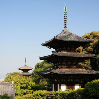 桜に牡丹。花を抱く歴史あるお寺 ～奈良県葛城市 當麻寺の見どころ～
